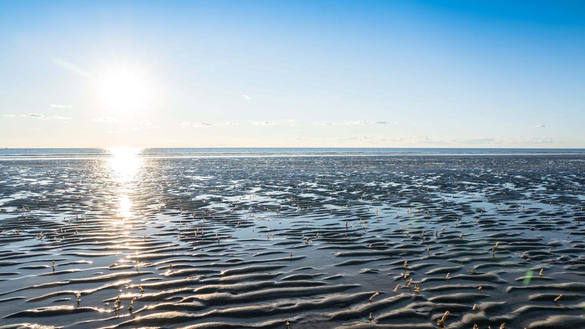Ferienwohnung Würzburg entdecken