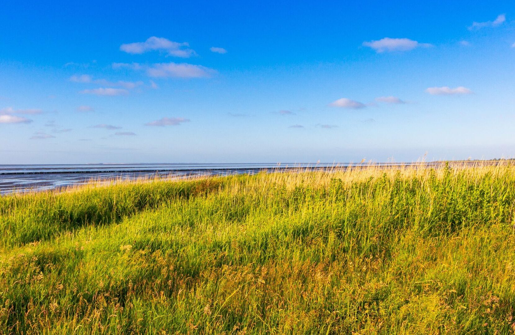 Festung Marienberg in Würzburg